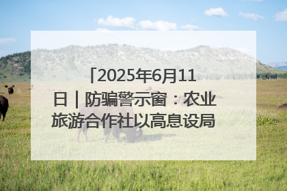 2025年6月11日｜防骗警示窗：农业旅游合作社以高息设局，集资380万