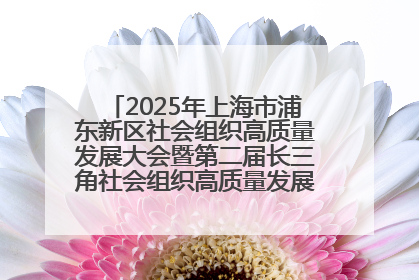 2025年上海市浦东新区社会组织高质量发展大会暨第二届长三角社会组织高质量发展峰会成功举办