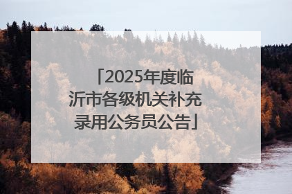 2025年度临沂市各级机关补充录用公务员公告