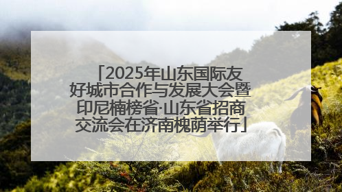 2025年山东国际友好城市合作与发展大会暨印尼楠榜省·山东省招商交流会在济南槐荫举行