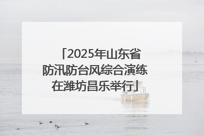 2025年山东省防汛防台风综合演练在潍坊昌乐举行