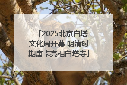 2025北京白塔文化周开幕 明清时期唐卡亮相白塔寺