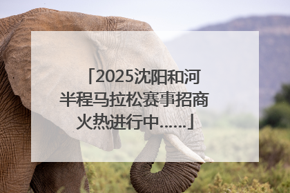 2025沈阳和河半程马拉松赛事招商火热进行中……