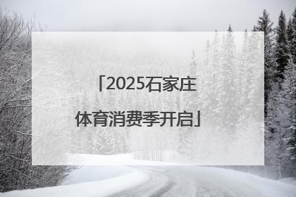 2025石家庄体育消费季开启