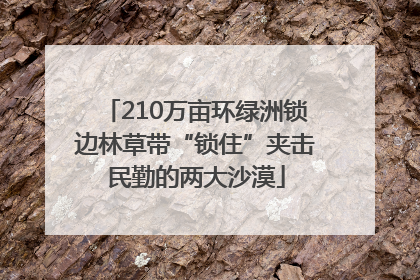 210万亩环绿洲锁边林草带“锁住”夹击民勤的两大沙漠