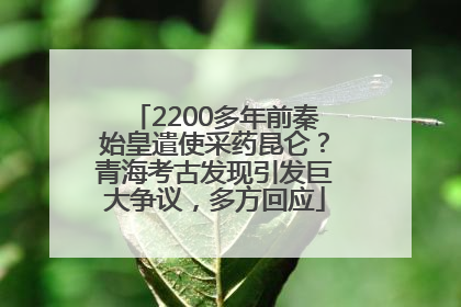 2200多年前秦始皇遣使采药昆仑？青海考古发现引发巨大争议，多方回应