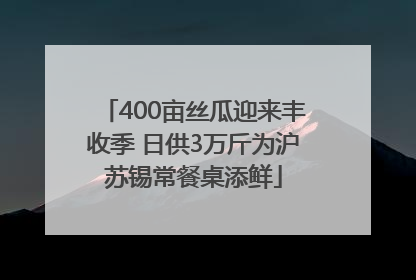 400亩丝瓜迎来丰收季 日供3万斤为沪苏锡常餐桌添鲜