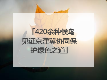 420余种候鸟见证京津冀协同保护绿色之道