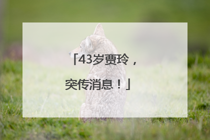 43岁贾玲，突传消息！