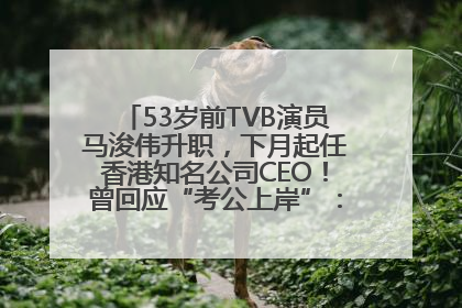 53岁前TVB演员马浚伟升职，下月起任香港知名公司CEO！曾回应“考公上岸”：真不是公务员