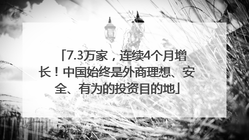 7.3万家，连续4个月增长！中国始终是外商理想、安全、有为的投资目的地