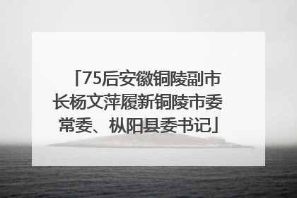 75后安徽铜陵副市长杨文萍履新铜陵市委常委、枞阳县委书记