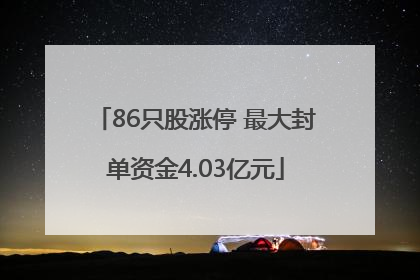 86只股涨停 最大封单资金4.03亿元