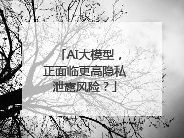 AI大模型，正面临更高隐私泄露风险？