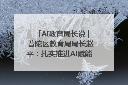 AI教育局长说 | 普陀区教育局局长赵平：扎实推进AI赋能教育，着力打造“适合教育”新体系