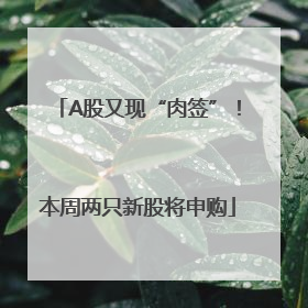 A股又现“肉签”！本周两只新股将申购