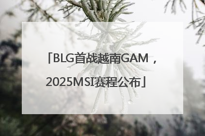 BLG首战越南GAM，2025MSI赛程公布