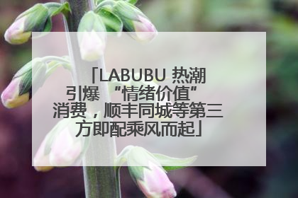LABUBU 热潮引爆 “情绪价值” 消费，顺丰同城等第三方即配乘风而起