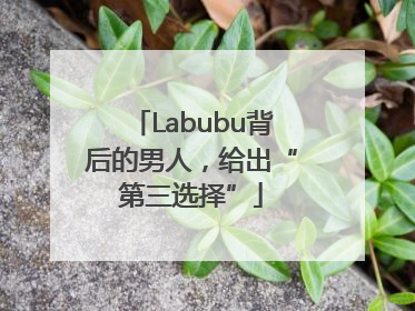 Labubu背后的男人，给出“第三选择”
