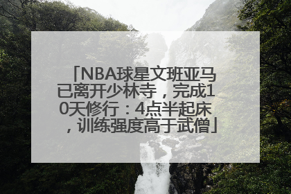 NBA球星文班亚马已离开少林寺，完成10天修行：4点半起床，训练强度高于武僧