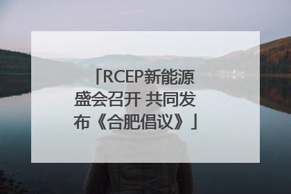 RCEP新能源盛会召开 共同发布《合肥倡议》